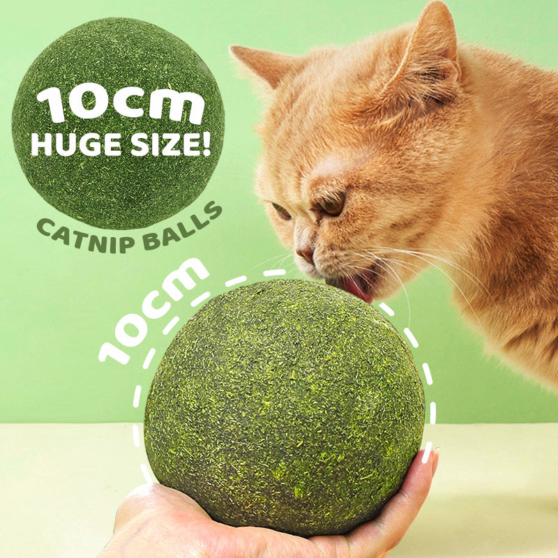 Giant Catnip Ball | Spraw, by Twój kot ją pokochał!